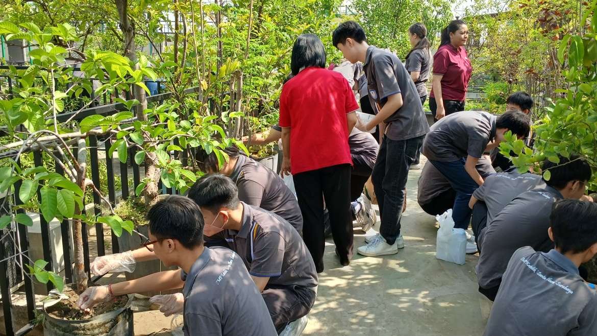 Merawat Tanaman dengan Air Bekas Cucian Beras dan Menggemburkan Tanah